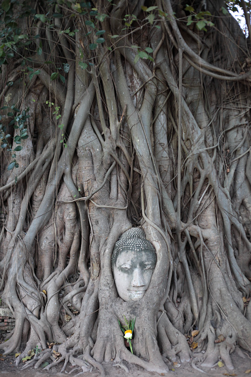 Thailand (and a bit of Laos), november 2013