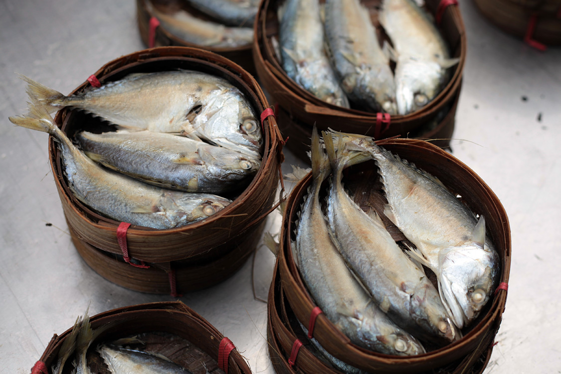 Thailand (and a bit of Laos), november 2013