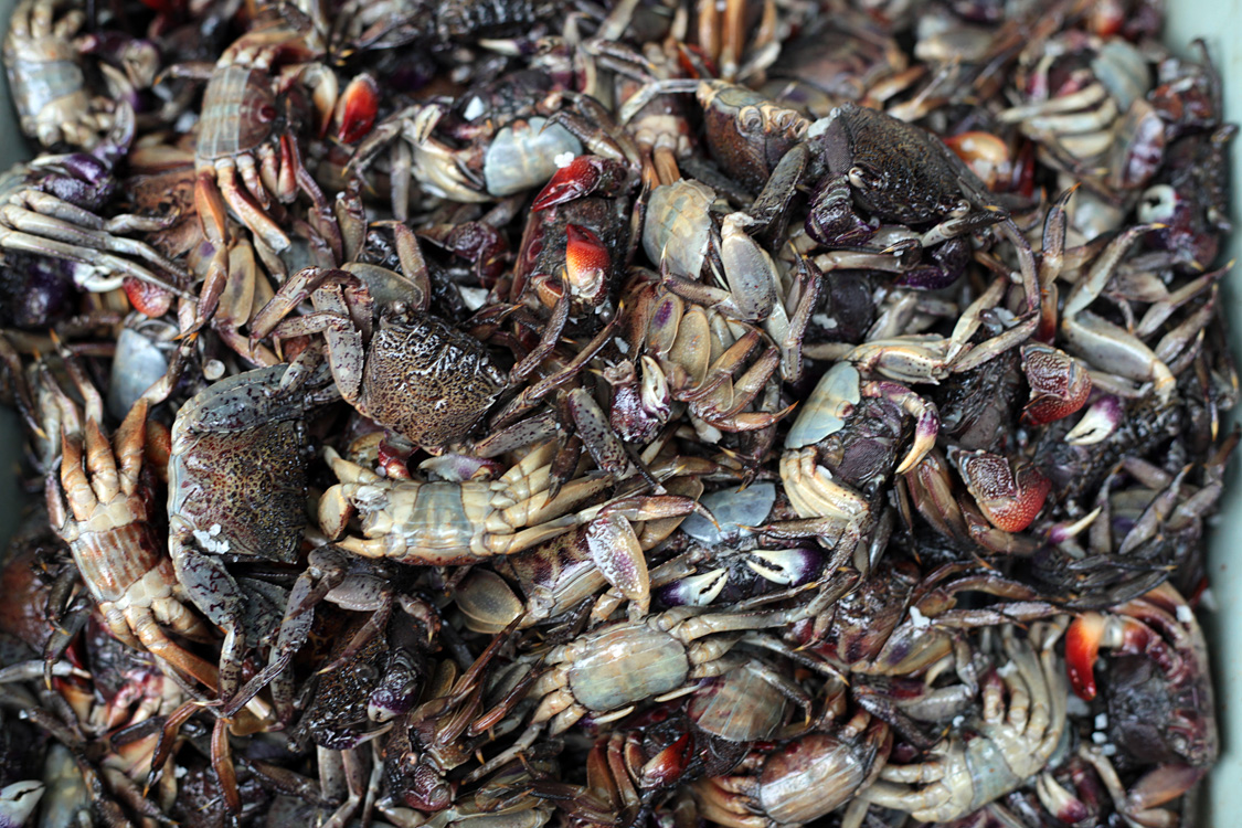 Thailand (and a bit of Laos), november 2013