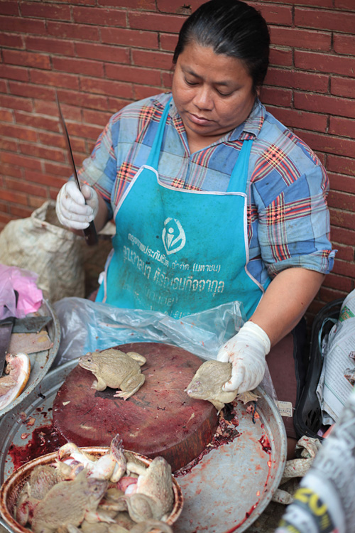 Thailand (and a bit of Laos), november 2013