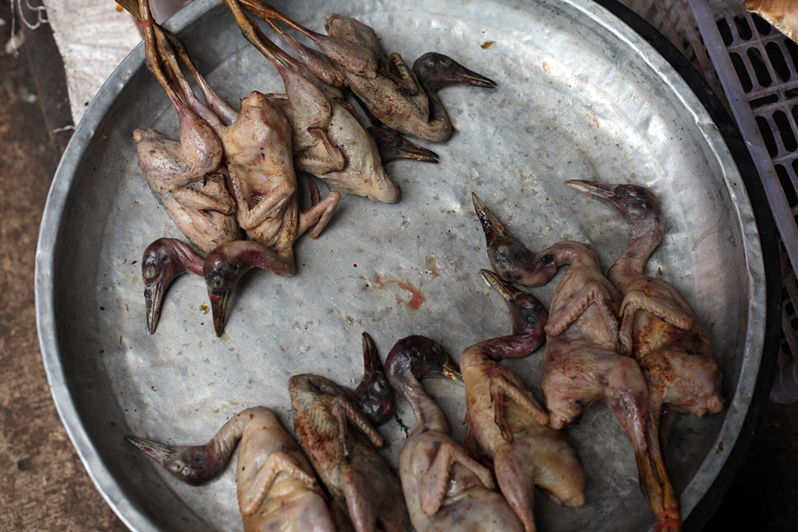 Thailand (and a bit of Laos), november 2013