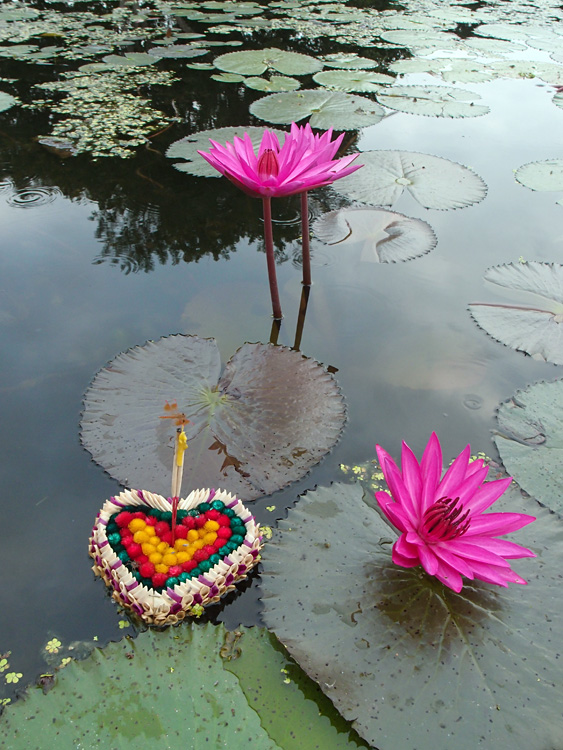 Thailand (and a bit of Laos), november 2013