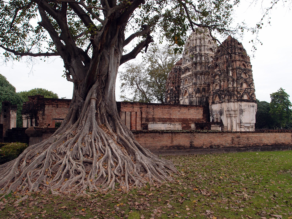 Thailand (and a bit of Laos), november 2013