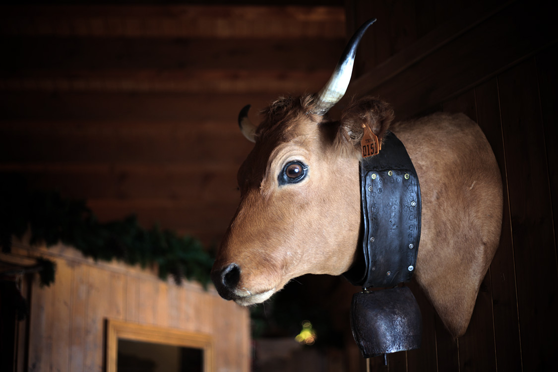 Tignes, february 2014