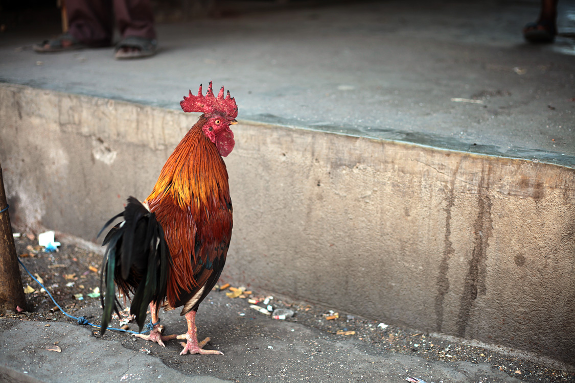 Indonesia, september 2015