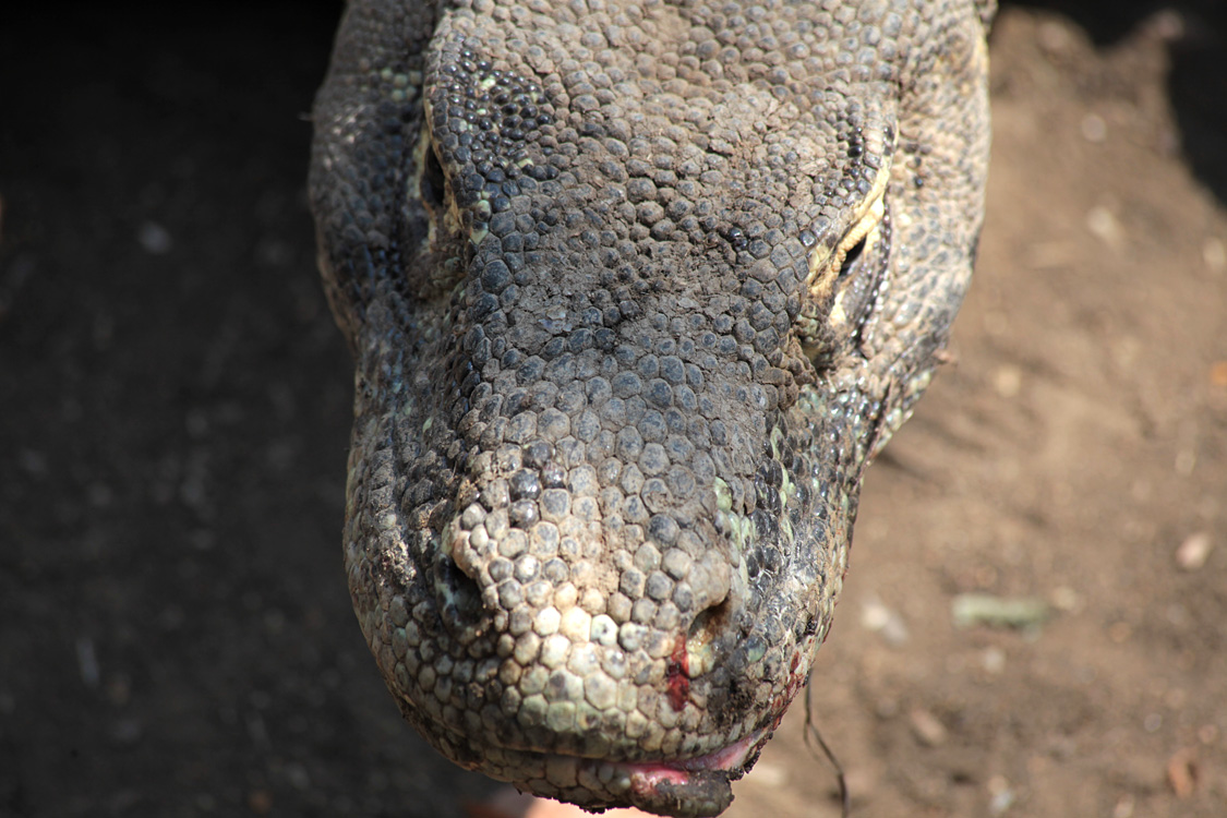 Indonesia, september 2015
