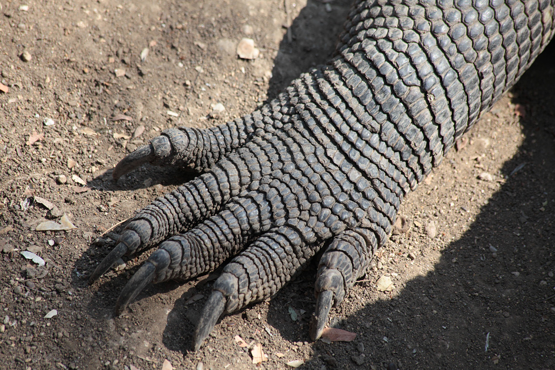 Indonesia, september 2015