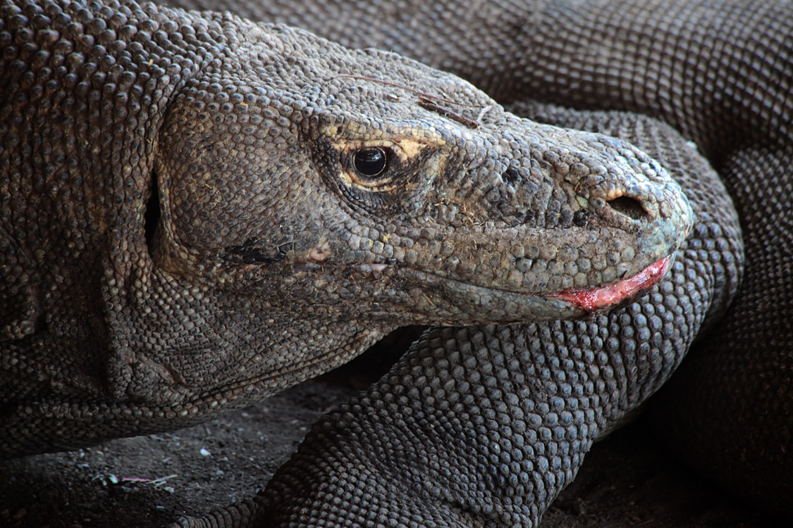 Indonesia, september 2015