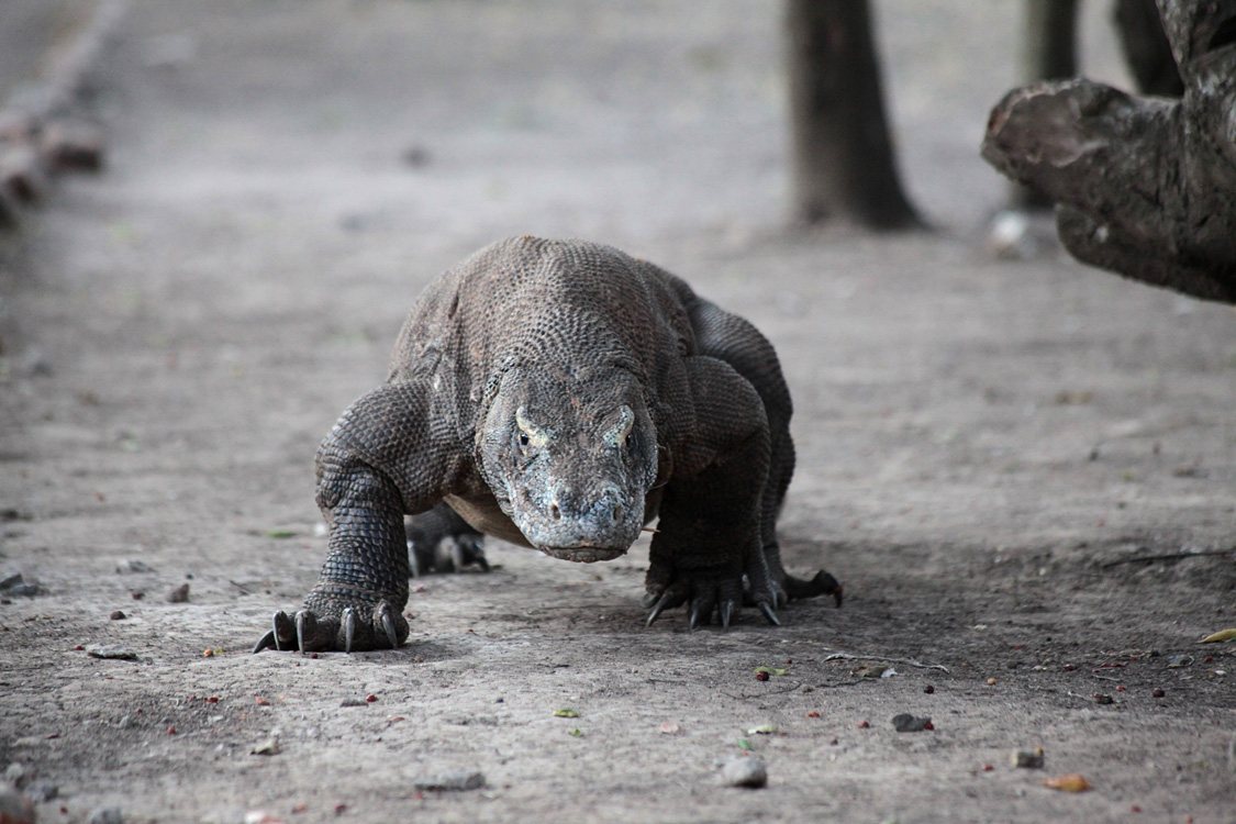 Indonesia, september 2015