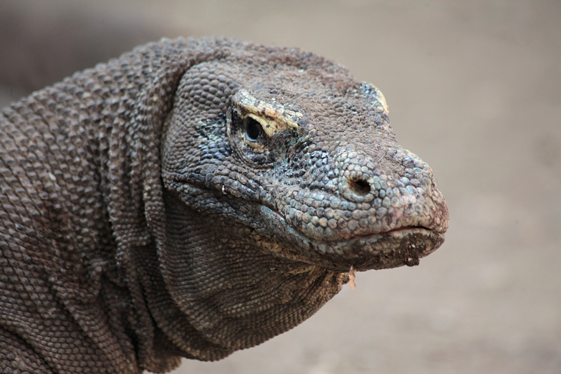 Indonesia, september 2015