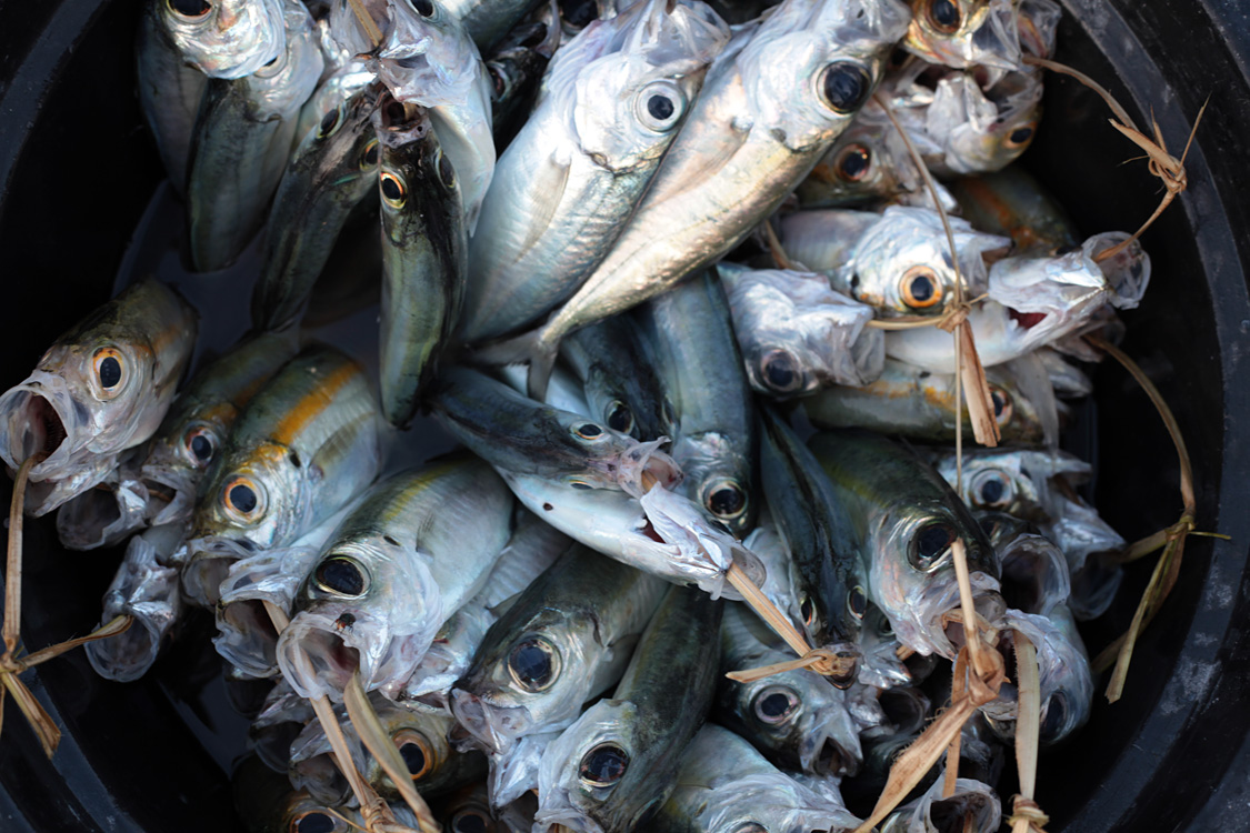 Indonesia, september 2015