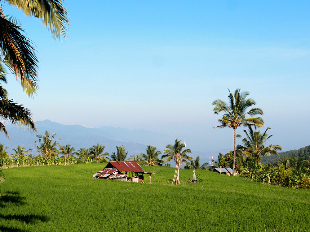 Indonesia, september 2015