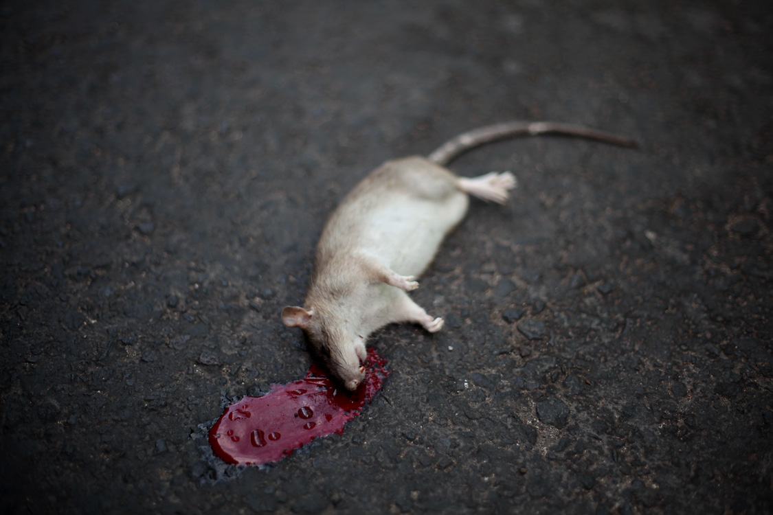 Indonesia, september 2015