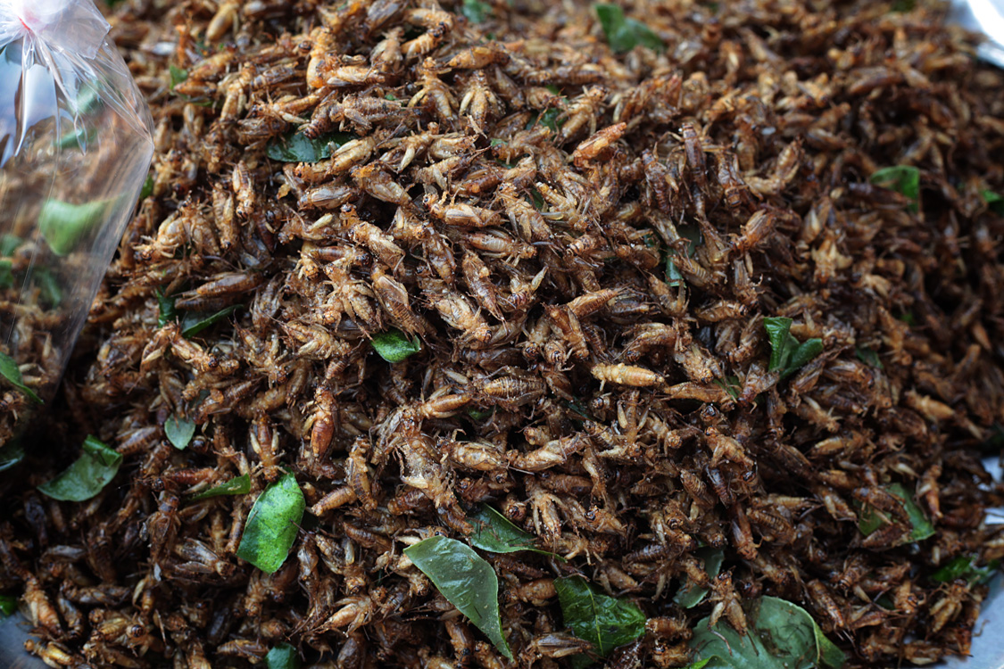 Thailand / Laos / Cambodia, march 2016