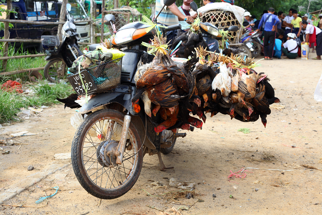 Myanmar, august 2016