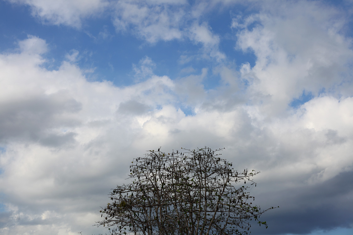 Sulawesi, september 2017