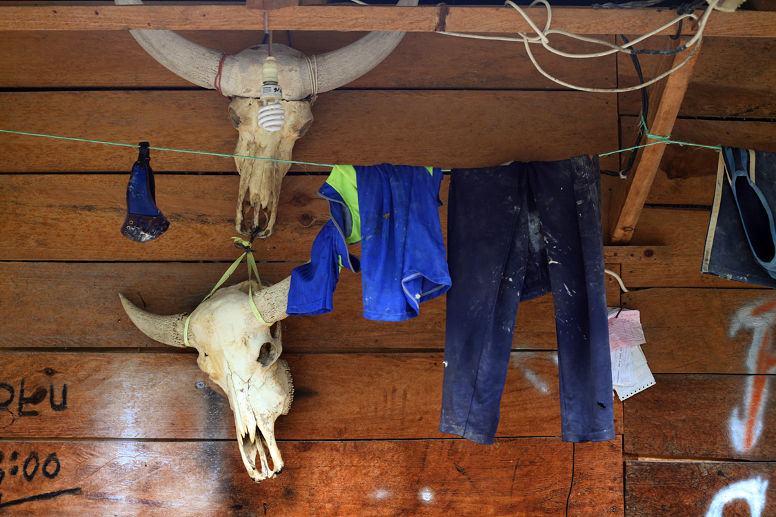 Sulawesi, september 2017