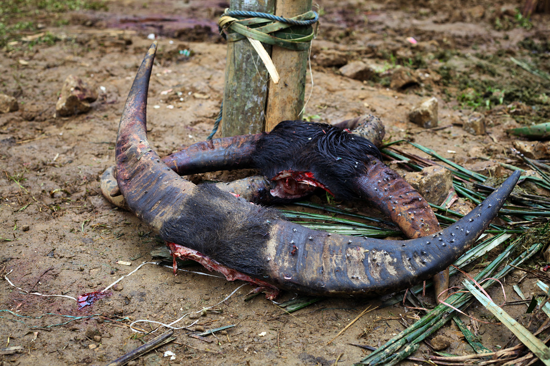 Sulawesi, september 2017