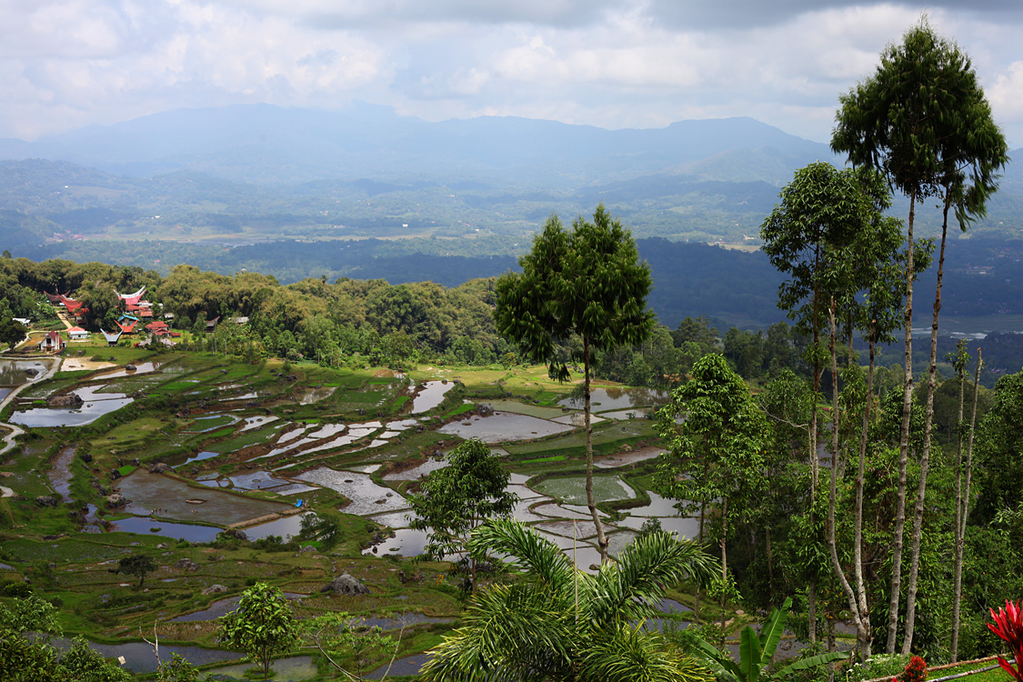 Sulawesi, september 2017