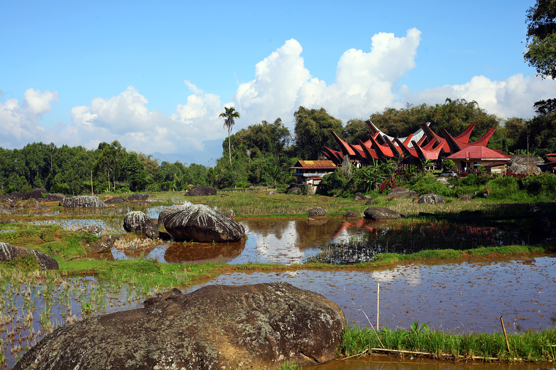 Sulawesi, september 2017