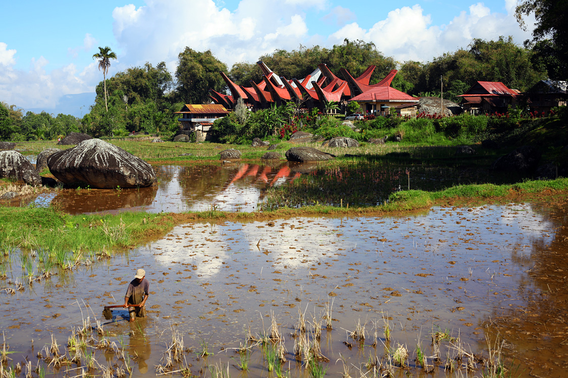 Sulawesi, september 2017