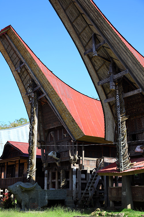 Sulawesi, september 2017