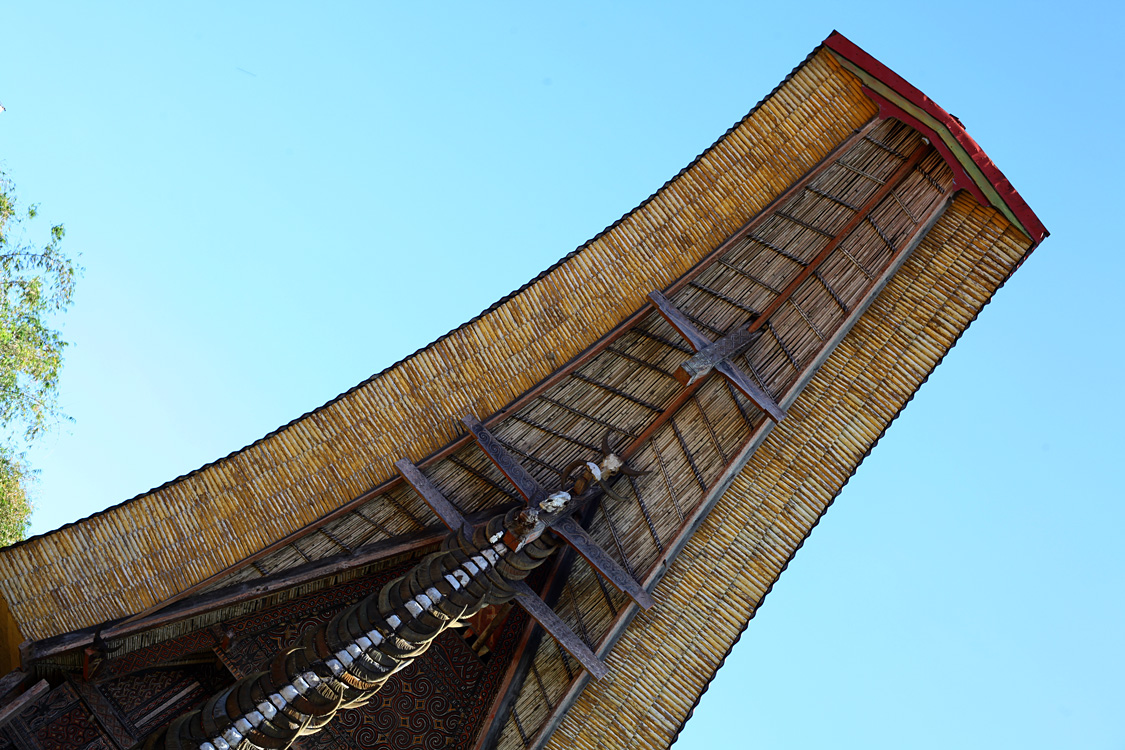 Sulawesi, september 2017