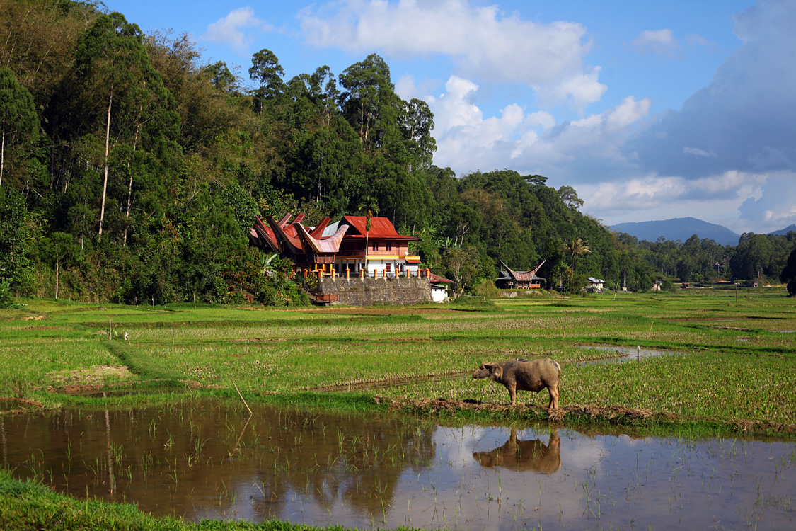 Sulawesi, september 2017