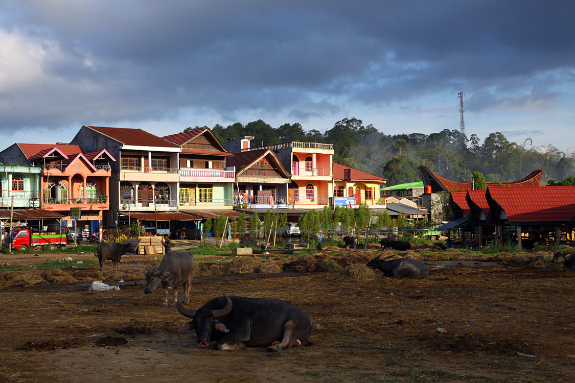 Sulawesi, september 2017