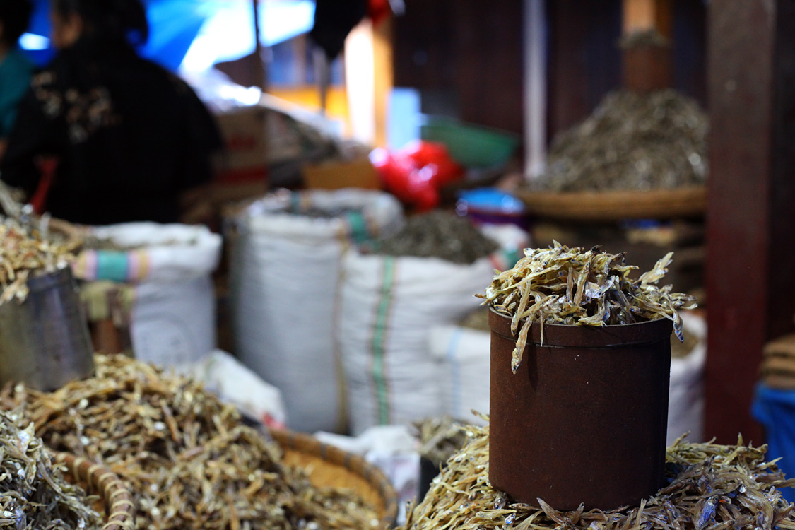 Sulawesi, september 2017