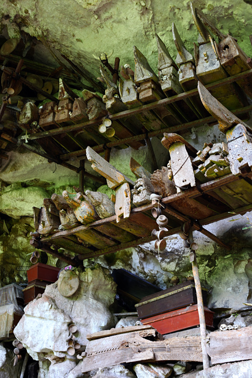 Sulawesi, september 2017