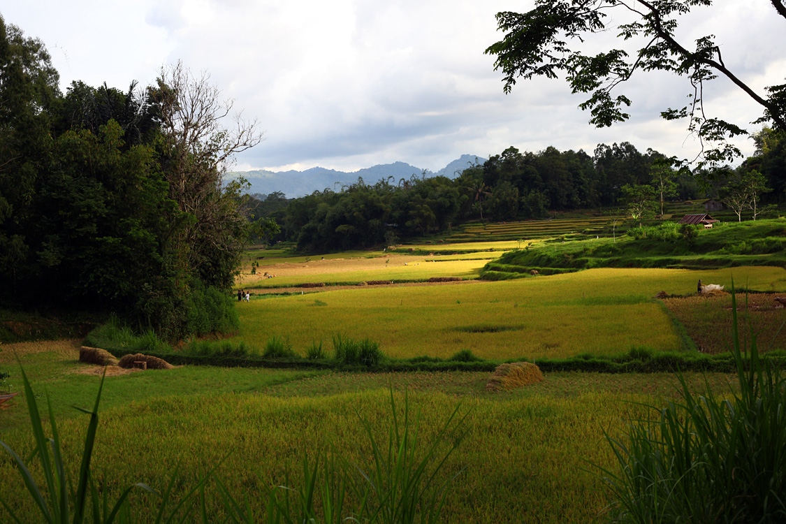 Sulawesi, september 2017