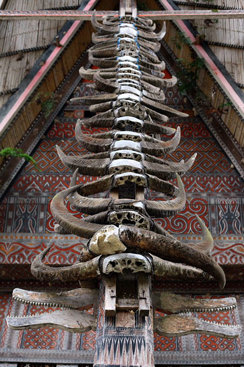 Sulawesi, september 2017