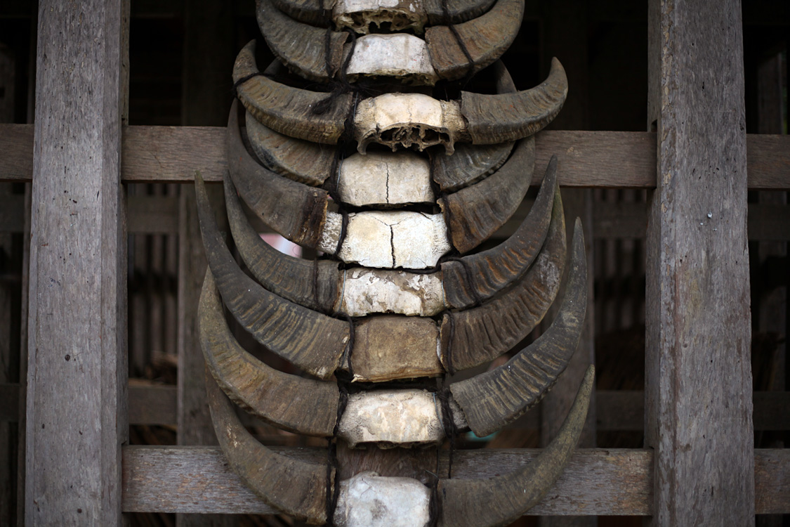 Sulawesi, september 2017