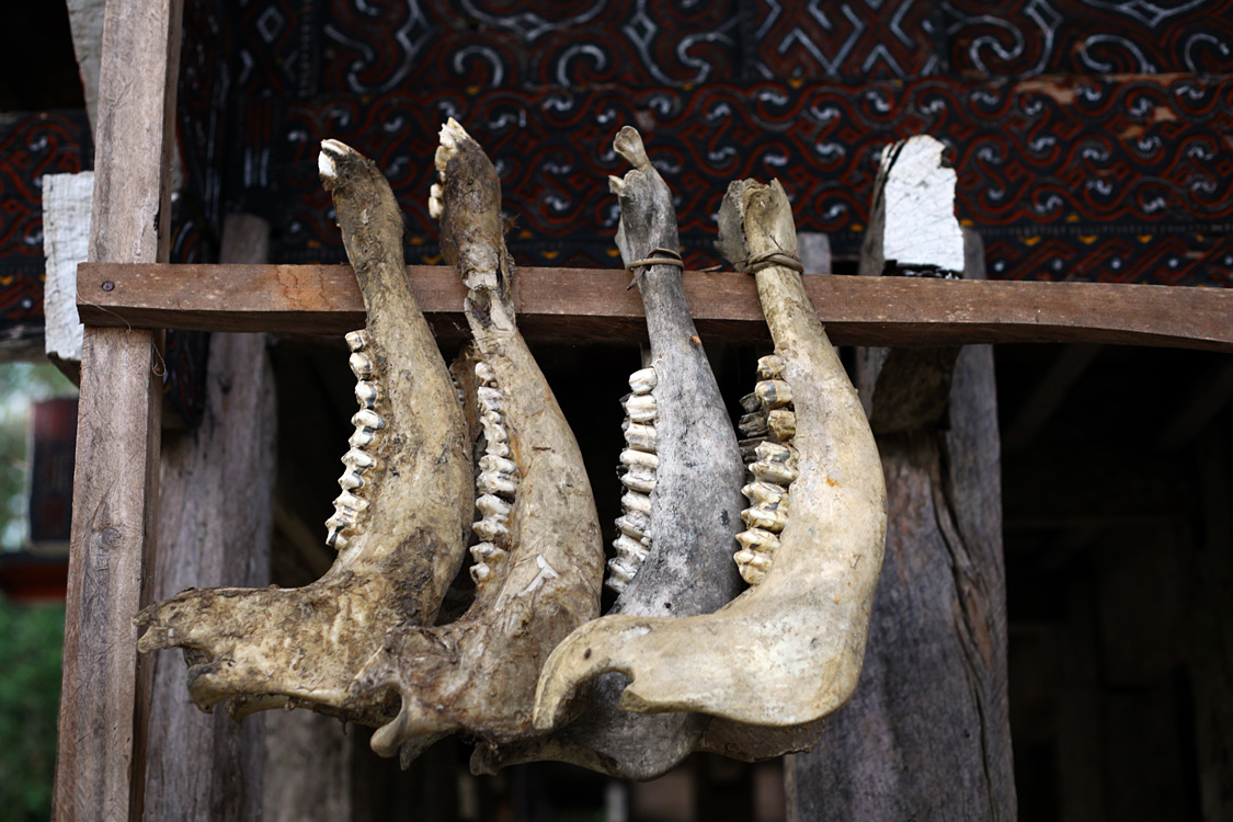 Sulawesi, september 2017