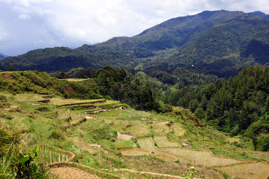 Sulawesi, september 2017