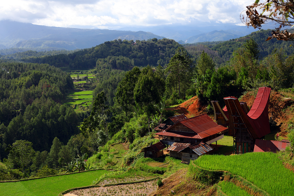 Sulawesi, september 2017