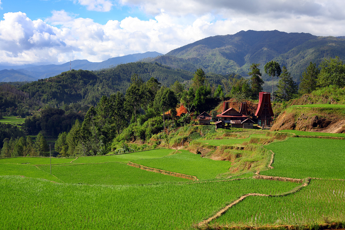 Sulawesi, september 2017