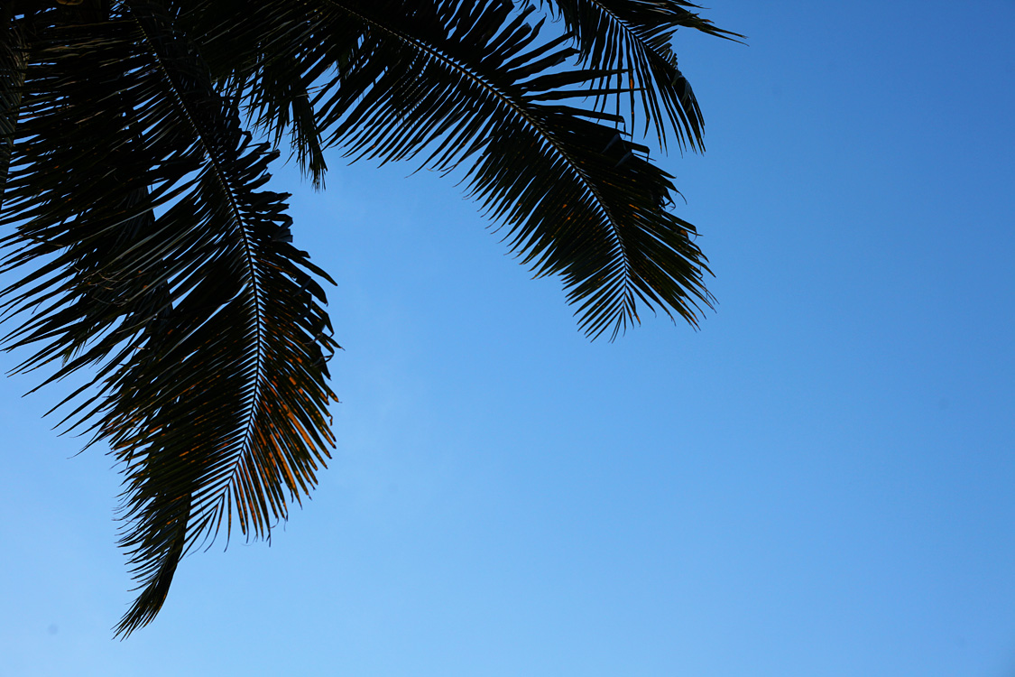 Sulawesi, september 2017