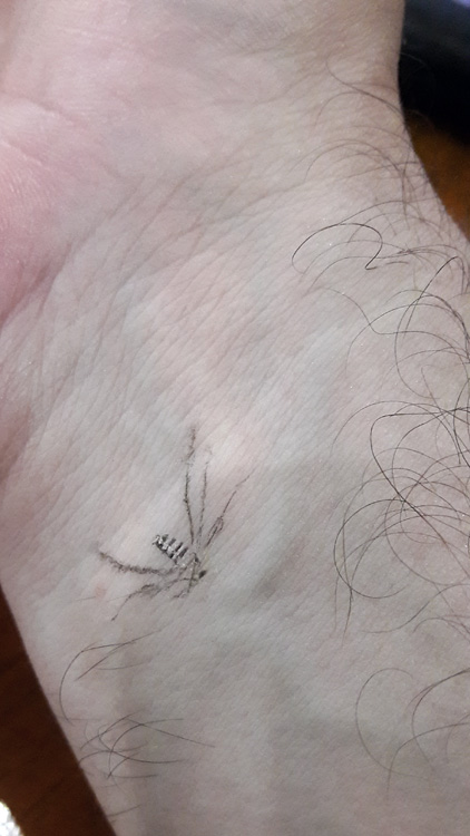 Sulawesi, september 2017