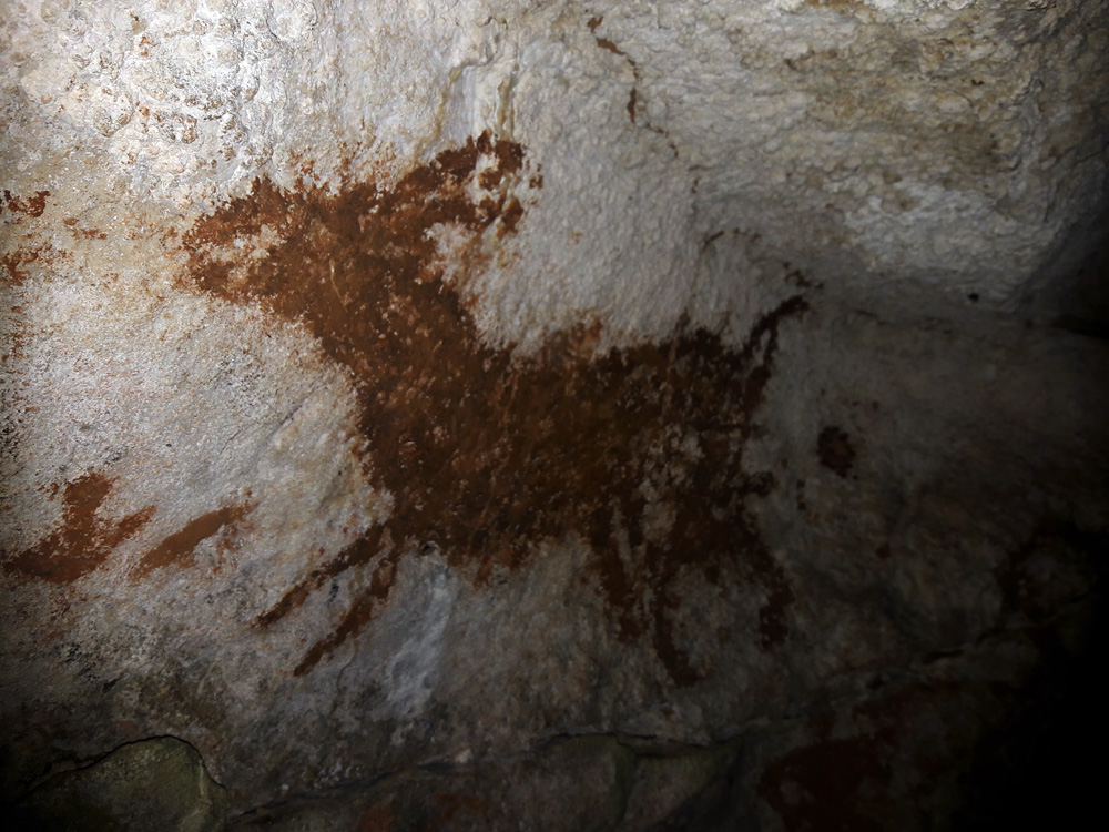 Sulawesi, september 2017