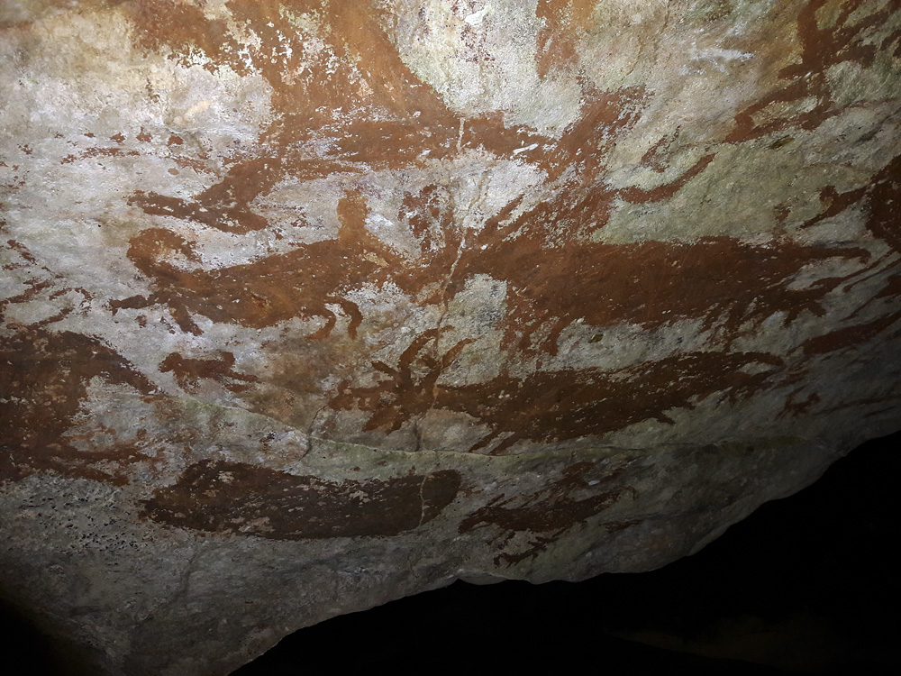 Sulawesi, september 2017