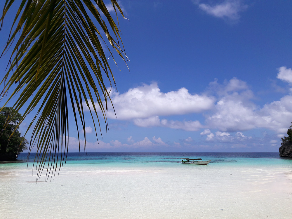 Sulawesi, september 2017