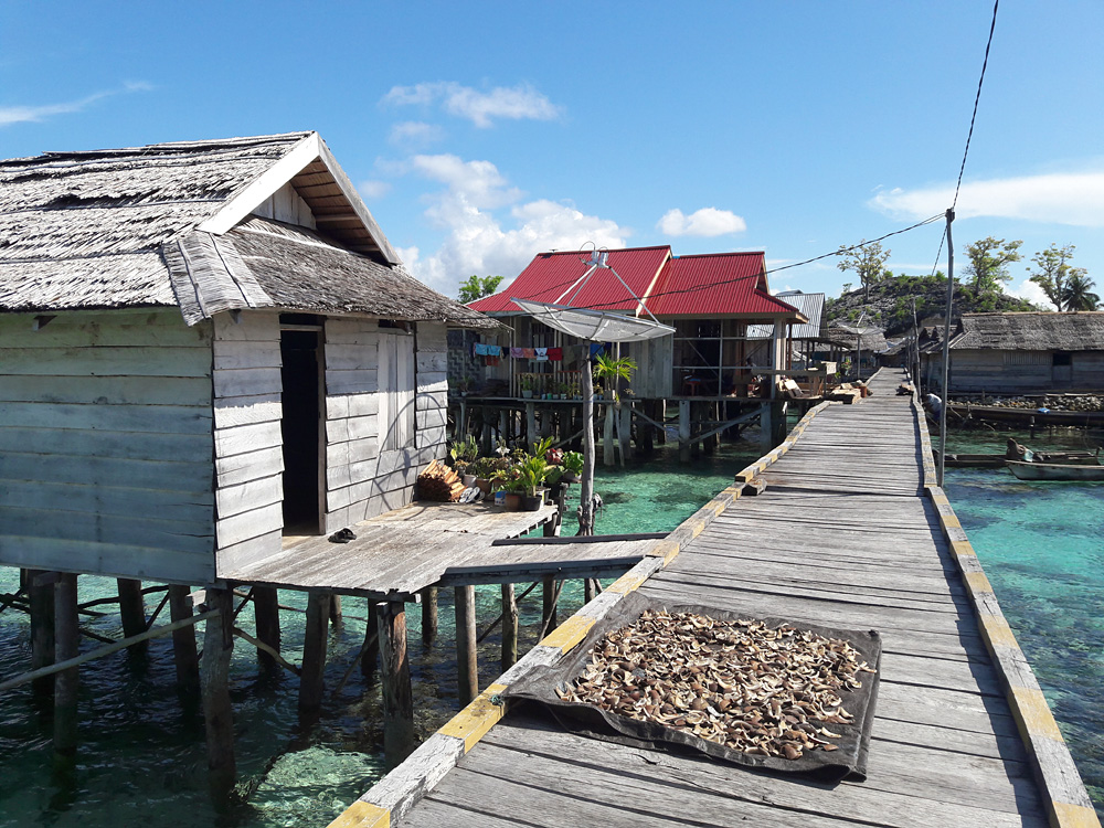 Sulawesi, september 2017