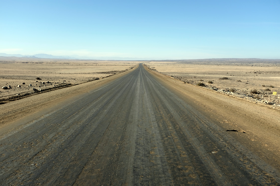 On the C-324 Road (Region III, Chile)