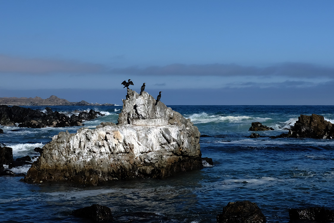 North of Laguna del Totoral (Region III, Chile)