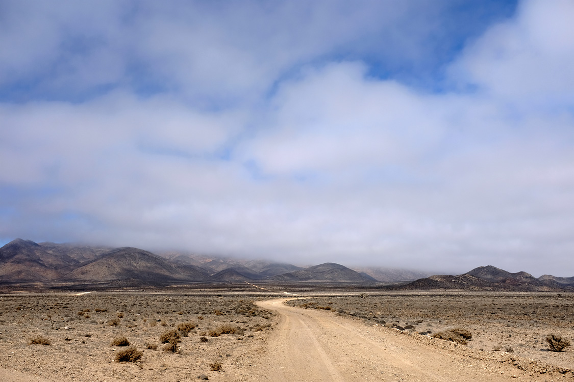 Heading to Parque Nacional Llanos de Challe (Region III, Chile)