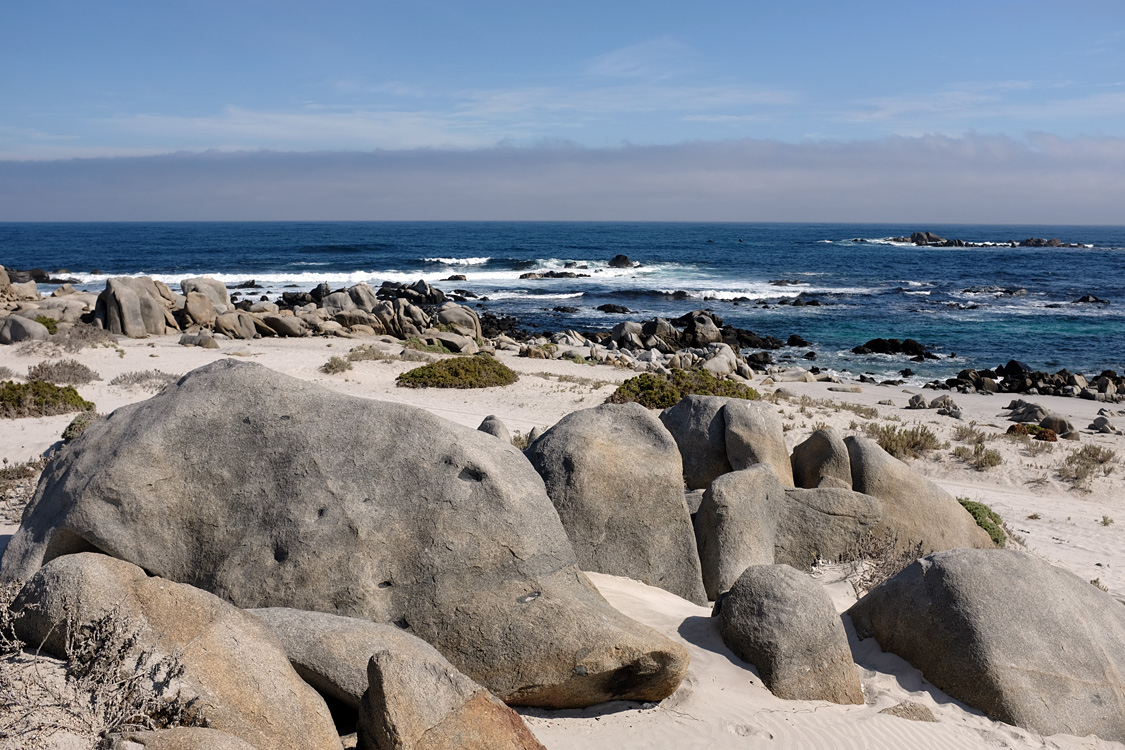 Parque Nacional Llanos de Challe (Region III, Chile)