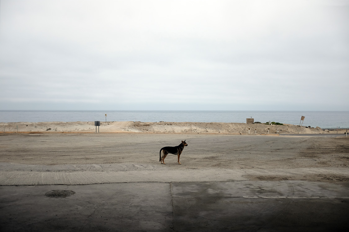 La Ovallina, on Road 5, south Puerto Flamenco (Region III, Chile)