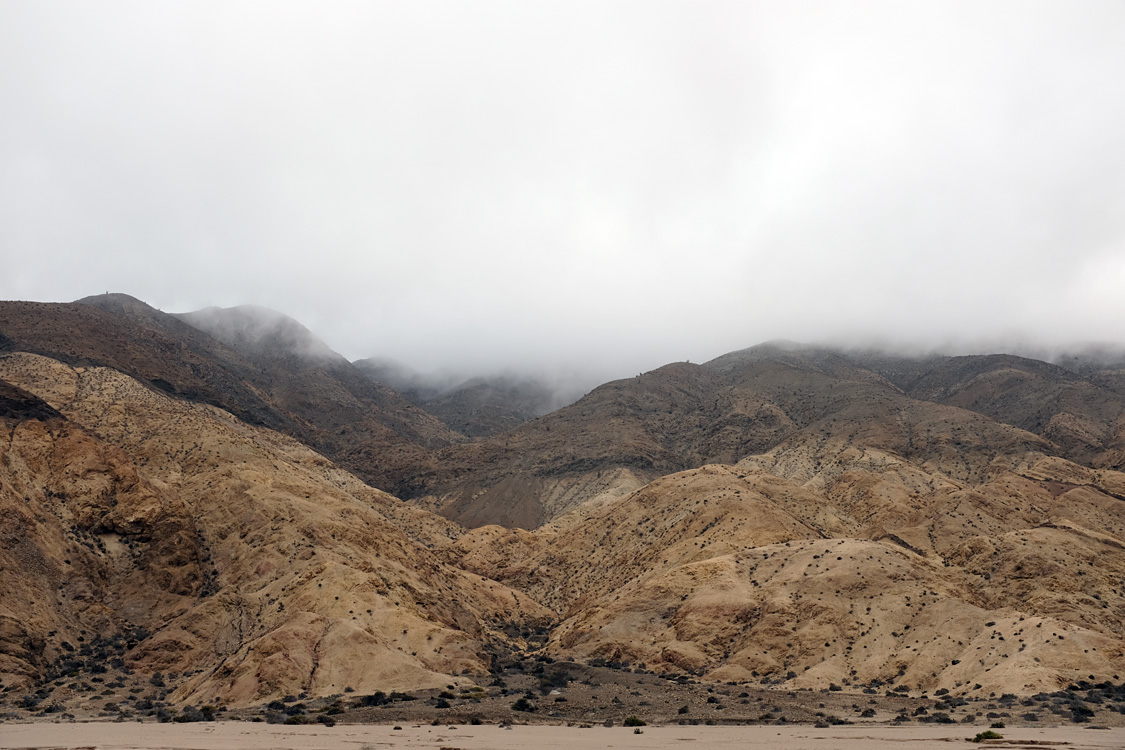 Parque Nacional Pan de Azucar (Region III, Chile)